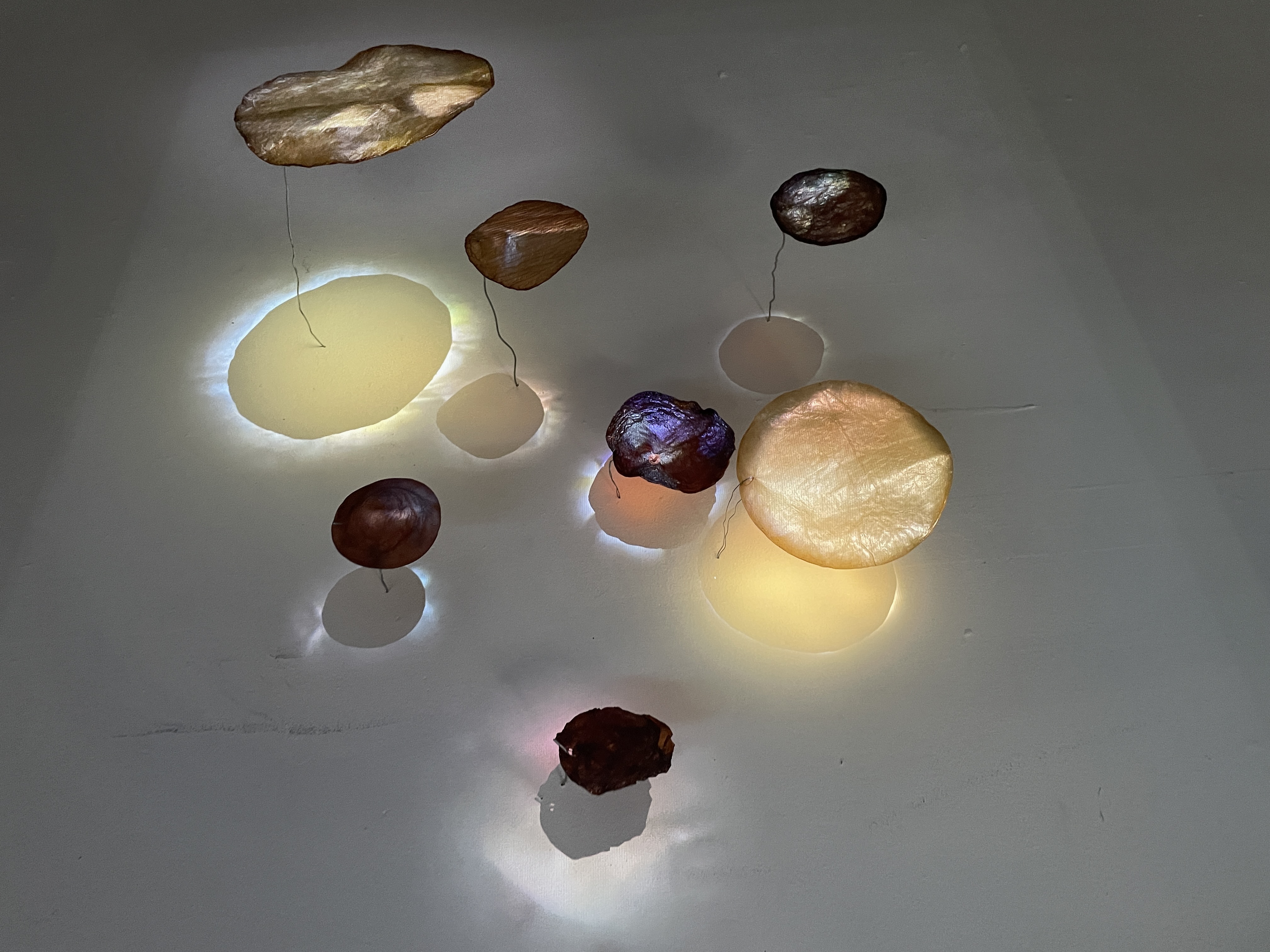 Natural pigment disc installation